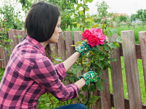 Gardener team assessing garden safety at start of job