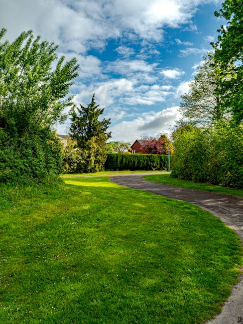 A peaceful garden scene featuring a paved brick pathway winding through a small park area in Hatch End, illuminated by warm sunlight filtering through the dense green foliage of mature deciduous trees